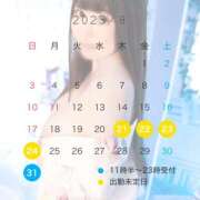 すみれ 8月の出勤予定日決まりました❤️ 美熟女専科白夜