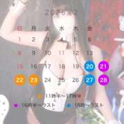 ヒメ日記 2026/02/16 17:30 投稿 すみれ 美熟女専科白夜