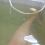 ヒメ日記 2025/10/10 20:02 投稿 ひらら 日暮里・西日暮里サンキュー