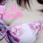 ヒメ日記 2025/11/09 09:41 投稿 ひらら 日暮里・西日暮里サンキュー