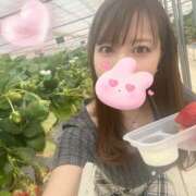 ヒメ日記 2025/04/21 12:37 投稿 めぐみ 東京人妻セレブリティ（ユメオト）