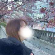 めぐみ 熱海桜🌸 東京人妻セレブリティ（ユメオト）