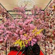 ヒメ日記 2026/03/26 19:58 投稿 めぐみ 東京人妻セレブリティ（ユメオト）