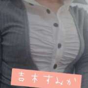 ヒメ日記 2025/04/17 11:43 投稿 吉木　すみか エテルナ京都