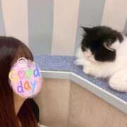 ヒメ日記 2026/02/19 15:54 投稿 けい 西川口前立腺研究所