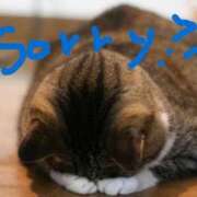 ヒメ日記 2026/01/10 08:17 投稿 ちぐさ 熟女家 堺東店