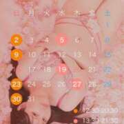 ヒメ日記 2025/02/21 21:51 投稿 こずえ Blue Lagoon(ブルーラグーン)