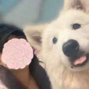 ヒメ日記 2025/09/02 13:51 投稿 こずえ Blue Lagoon(ブルーラグーン)