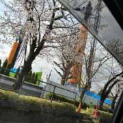 ヒメ日記 2025/03/31 13:30 投稿 こむぎ RED BERYL～レッドベリル～