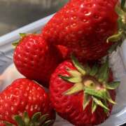 ねね 春はすぐそこなのかしら 待ち遠しいなぁ モアグループ川越人妻花壇