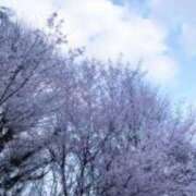 ヒメ日記 2025/04/03 15:19 投稿 のぞみ 新宿11チャンネル