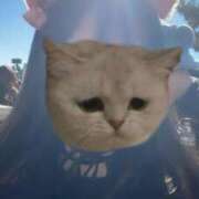 ヒメ日記 2025/04/07 16:55 投稿 のぞみ 新宿11チャンネル