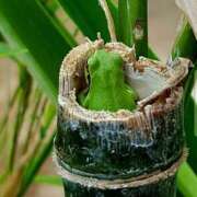 ヒメ日記 2025/06/04 15:52 投稿 ひかり 鶯谷デリヘル倶楽部