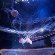 ヒメ日記 2025/07/19 10:38 投稿 ひかり 鶯谷デリヘル倶楽部