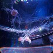 ヒメ日記 2025/10/08 20:32 投稿 ひかり 鶯谷デリヘル倶楽部