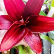 ヒメ日記 2025/10/27 21:02 投稿 ひかり 鶯谷デリヘル倶楽部