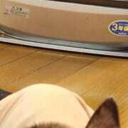 ヒメ日記 2025/12/12 10:02 投稿 ひかり 鶯谷デリヘル倶楽部