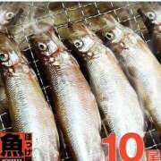 ヒメ日記 2026/03/05 10:42 投稿 ひかり 鶯谷デリヘル倶楽部