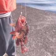 ヒメ日記 2026/04/22 13:52 投稿 黒川　るる スタイリッシュ秘書