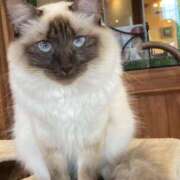 ヒメ日記 2025/08/07 10:43 投稿 はっか 大垣羽島安八ちゃんこ