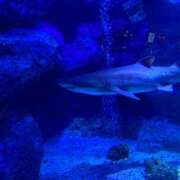 ヒメ日記 2025/08/08 15:16 投稿 はっか 大垣羽島安八ちゃんこ