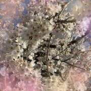 えま 桜を見に🌸 ピーチガール