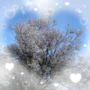 ヒメ日記 2025/04/13 22:14 投稿 えま ピーチガール