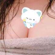 ヒメ日記 2025/05/19 12:58 投稿 めめ 静岡駅前ちゃんこ