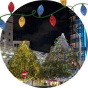 あいら 本日……… おふくろさんYO!!大和店