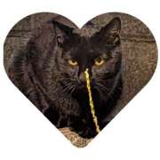 あいら 出勤しましたー おふくろさんYO!!大和店