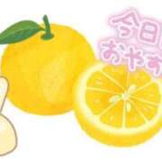 ヒメ日記 2025/02/04 11:50 投稿 種田 ゆず セレブリフレ水戸