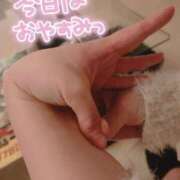 ヒメ日記 2025/02/09 12:03 投稿 種田 ゆず セレブリフレ水戸