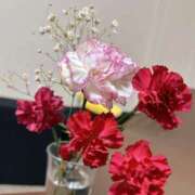 ヒメ日記 2025/04/04 12:06 投稿 種田 ゆず セレブリフレ水戸