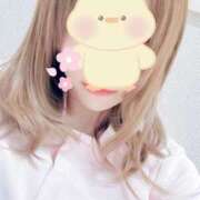 ヒメ日記 2025/04/29 10:27 投稿 れいな 札幌しこたまクリニック