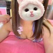 ヒメ日記 2025/09/01 13:15 投稿 のどか 素人系イメージSOAP 彼女感 宇都宮本館