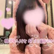 ヒメ日記 2026/01/28 11:06 投稿 のどか 素人系イメージSOAP 彼女感 宇都宮本館