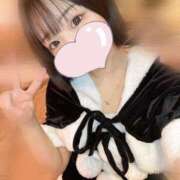 ヒメ日記 2024/12/19 08:31 投稿 まこ CUTE