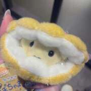 ヒメ日記 2024/12/17 15:36 投稿 ステラ Cawaiiハイ！スクールリターンズ