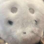 ヒメ日記 2025/01/31 15:42 投稿 ステラ Cawaiiハイ！スクールリターンズ