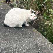 ヒメ日記 2025/06/10 12:16 投稿 ステラ Cawaiiハイ！スクールリターンズ