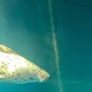 ヒメ日記 2025/06/23 13:58 投稿 ステラ Cawaiiハイ！スクールリターンズ