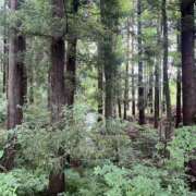 ヒメ日記 2025/07/03 16:09 投稿 ステラ Cawaiiハイ！スクールリターンズ