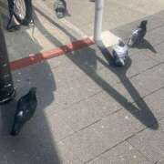 ヒメ日記 2026/02/07 12:01 投稿 ステラ Cawaiiハイ！スクールリターンズ