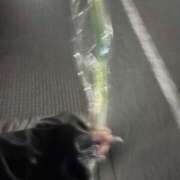 ヒメ日記 2026/03/17 15:00 投稿 ステラ Cawaiiハイ！スクールリターンズ