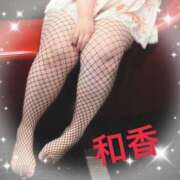 ヒメ日記 2025/02/07 10:00 投稿 和香【わか】 丸妻 西船橋店