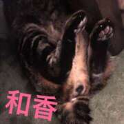 ヒメ日記 2025/02/21 10:01 投稿 和香【わか】 丸妻 西船橋店