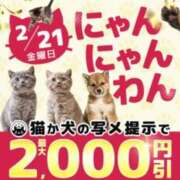 ヒメ日記 2025/02/21 10:30 投稿 和香【わか】 丸妻 西船橋店