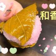 ヒメ日記 2025/03/02 16:30 投稿 和香【わか】 丸妻 西船橋店