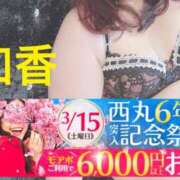 ヒメ日記 2025/03/10 12:58 投稿 和香【わか】 丸妻 西船橋店