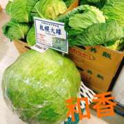 ヒメ日記 2025/03/15 09:01 投稿 和香【わか】 丸妻 西船橋店